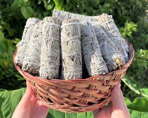White Sage Bundle