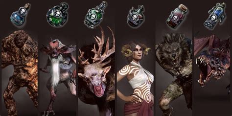 Witcher 3 Decoctions