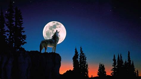 Wolf Moon