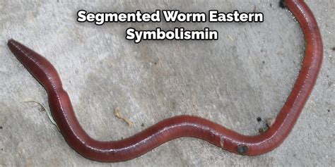 Worm Symbolism