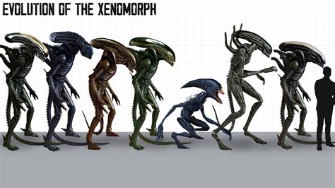 Xenomorph Evolution
