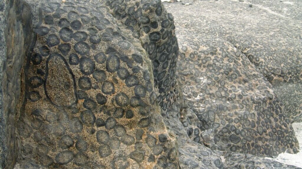 Orbicular Granite By Herman Luyken - CC BY-SA 3.0, via Wikimedia Commons